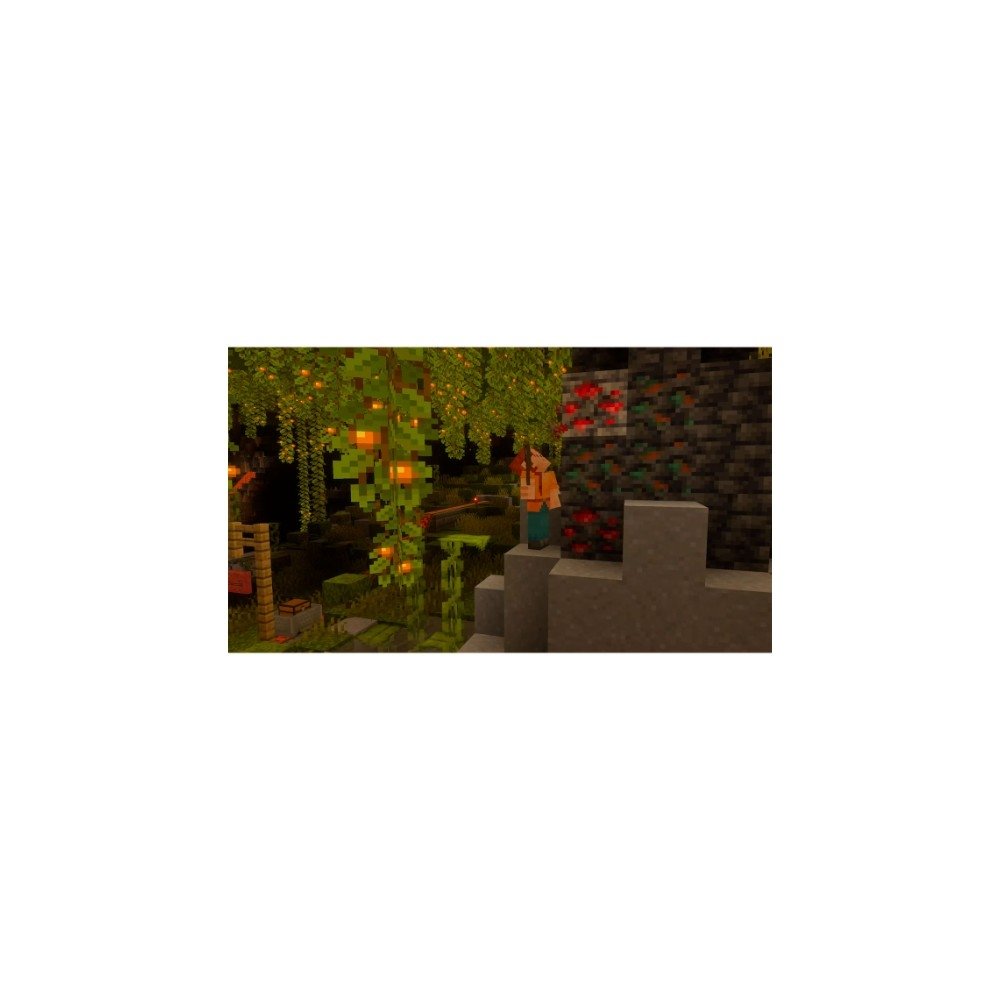 Jogo Minecraft, Nintendo Switch 2 - NSCA10000079FGR - view 5