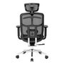 Cadeira de Escritório Ergonômica DT3 Diana V2,  Até  150kg, Reclinável, Preto  - 11726-7