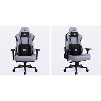 Cadeira Gamer DT3 Rhino Ashen, Com almofadas, Reclinável, Apoio de