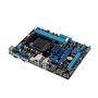 Placa mãe ASUS p/ AMD M5A78L-M LX3 AM3+ DDR3 Box