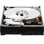 HD WD SATA 3,5´ Black Performance 500GB 7200RPM 64MB Cache SATA 6.0Gb/s - WD5003AZEX