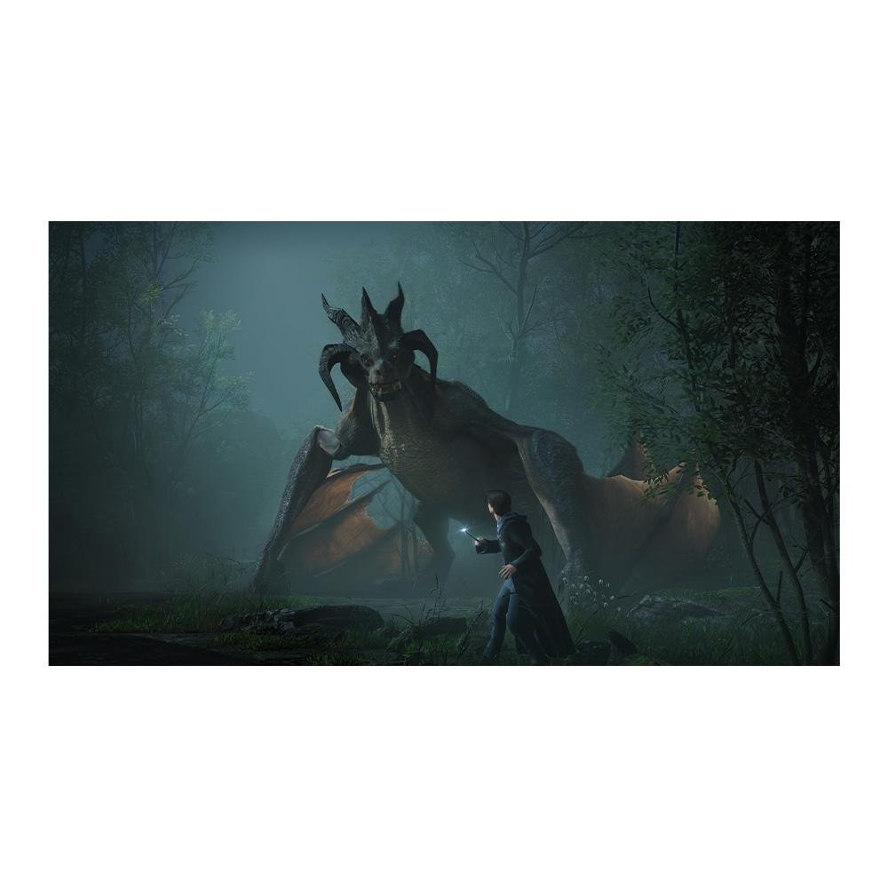 Imagem 7 de 7 do produto Jogo Hogwarts Legacy, PS4