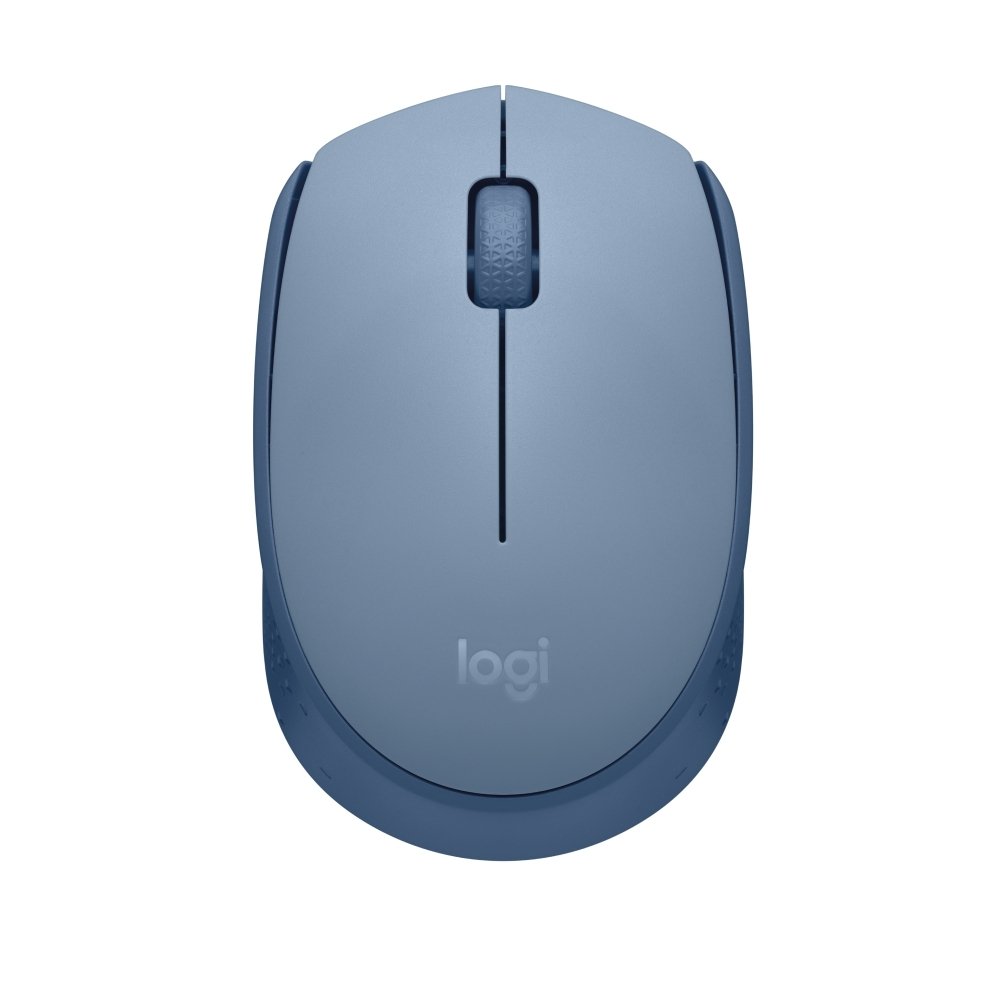 Mouse Sem Fio Logitech M170, Wireless, Azul - 910-006863