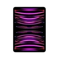 11-inch-ipad-pro-wi-fi-256gb-