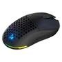 Mouse Sem Fio Gamer Fallen Pantera PRO Wireless, 26000 DPI, RGB, 68,70g, Preto - MO-FN-PA-PRO-WL-PT