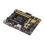 Placa-Mãe ASUS p/ AMD FM2+ mATX A88XM-A,  4xDDR3, HDMI/DVI/VGA, USB 3.0 Boost, Digi+VRM, GPU Boost, 5X Protection, Porta Serial