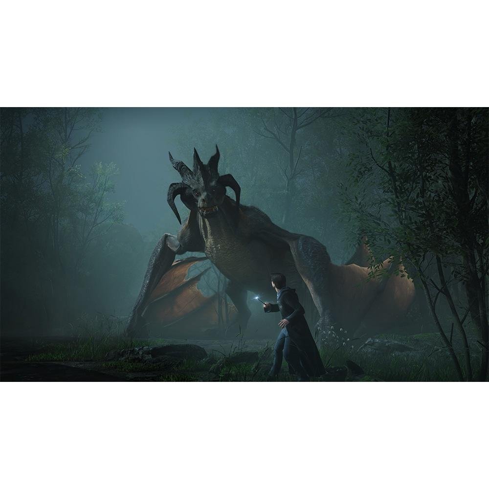 Imagem 5 de 7 do produto Jogo Hogwarts Legacy Vanilla ED, PS5 - WB000017PS5