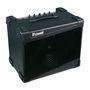 Amplificador Staner para Contrabaixo - 10´ 100 Watts - Shout 110-B