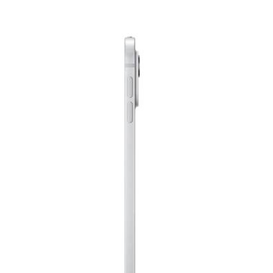 iPad Pro Apple, Tela 13