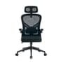 Cadeira de Escritório Ergonômica Presidente XT Office X-Lite - Preta- XTO-111