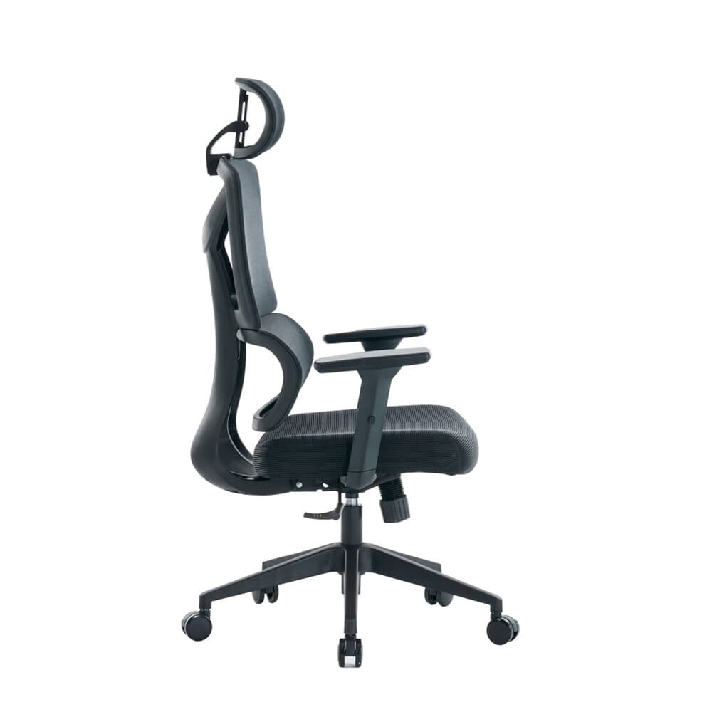 Cadeira de Escritório Ergonômica Presidente XT Office X-Only - XTO-115 - view 5