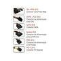 Fonte Empire ATX 500W - MP500W-E