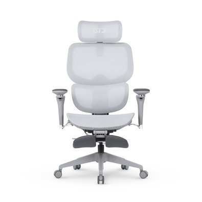 Cadeira Office DT3 Ergonomie FT, Até 160kg, Reclinável, Braço 5D, Cilindro de Gás Claase 4, Cinza - 14436-8