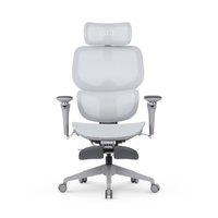 Cadeira Office DT3 Ergonomie FT, Até 160kg, Reclinável, Braço 5D, Cilindro de Gás Claase 4, Cinza - 14436-8 Cadeira Office DT3 Ergonomie FT, Até 160kg, Reclinável, Braço 5D, Cilindro de Gás Claase 4, Cinza - 14436-8