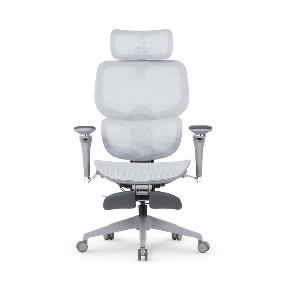 Cadeira Office DT3 Ergonomie FT, Até 160kg, Reclinável, Braço 5D, Cilindro de Gás Claase 4, Cinza - 14436-8