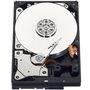 HD WD SATA 3,5´ Blue PC 500GB 7200RPM 32MB Cache SATA 6.0Gb/s - WD5000AZLX