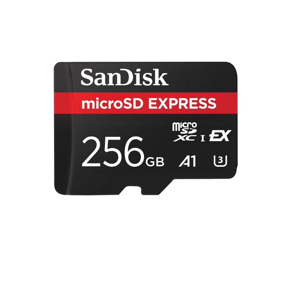 Cartão SanDisk microSD Express, 256GB, Compatível com Nintendo Switch 2, Preto - SDSQXFN-256G-GN4NN