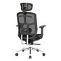 Cadeira De Escritório Ergonômica DT3 Diana+, Até 110Kg, Ajuste de Altura, Preto - 14445-8