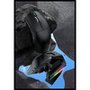 Mouse Gamer sem Fio Attack Shark X1 Ultraleve com Base de Carregamento Magnético RGB, Tri-Mode, 40.000 DPI, Sensor Óptico PAW3395 PRO, 6 Botões - Preto