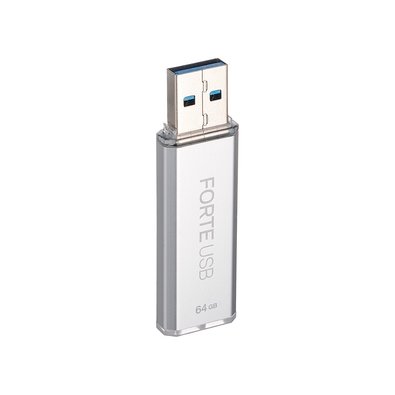 Pen Drive 64GB SecuX Forte, USB 3.2, Com Criptografia AES-XTS 256 e Autenticação por Senha, Prata - 98-101-000100