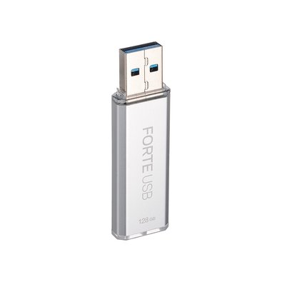 Pen Drive 128GB SecuX Forte, USB 3.2, Com Criptografia AES-XTS 256 e Autenticação por Senha, Prata - 98-101-000200