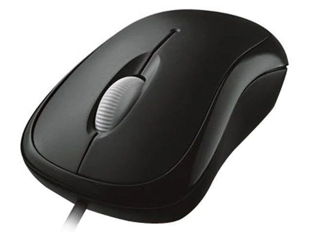Mouse Com Fio Microsoft Wired Basic 800 dpi