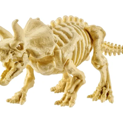 Dinossauro Robo Alive Dino Fossil Fin Surprise