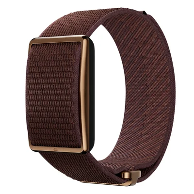 Sensor Inteligente Polar Loop Gen2 - Monitor De Atividade Física E Saúde, Sem Tela - Marrom - N/a