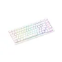 Teclado Magnético Gamer Akko Tac75 He 8k RGB Switch Akko Glare Linear Branco