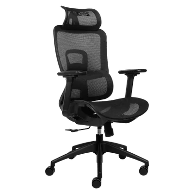 Cadeira Ergonomica PCyes Ms5 Preta - PComs5b