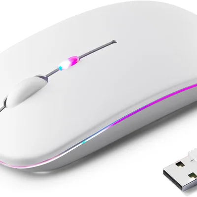 Mouse Sem Fio Recarregável, Ergonômico, Com LED RGB, Conexão Dual Bluetooth 5.0/usb 2.4ghz, Dpi Ajustável, Perfeito Para Notebook, Laptop,pc, Desktop
