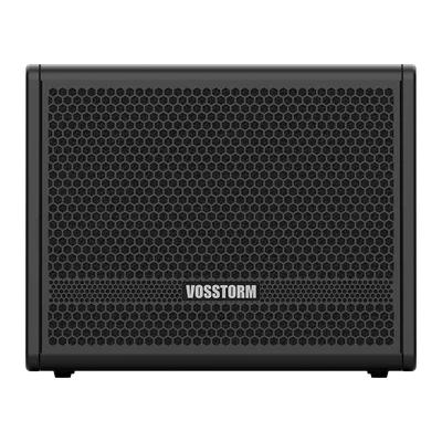 Amplificador Para Baixo 10 Pol 40w Vosstorm Bs-10