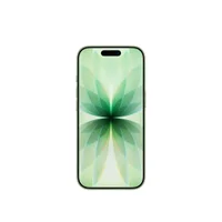 Iphone 17 256 GB Sálvia 14