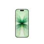 Iphone 17 256 GB Sálvia 10