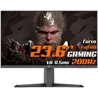 Monitor 23.6
