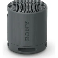 Caixa de Som Sony Preto Srs-xb100