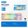 Teclado Usb RGB Retroiluminado Com Fio Multimídia Knup Kp-te145