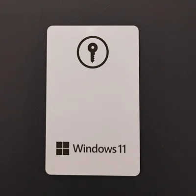 Windows-11-Professional-Pt-br-