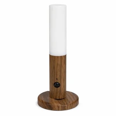 Luminária LED Inteligente Com Sensor De Movimento Usb