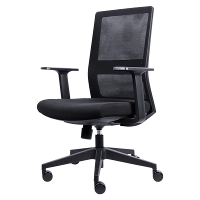 Cadeira Ergonômica Office B3 Preta - PCob3pt