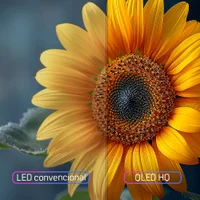 Smart Tv Hq QLED 75 " Hq qLED75sm 4k Wi fi Bluetooth, Apps, Netflix, Youtube E Prime Vídeo 14