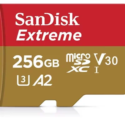 Cartão Microsd Sandisk Extreme 256gb   C/nf