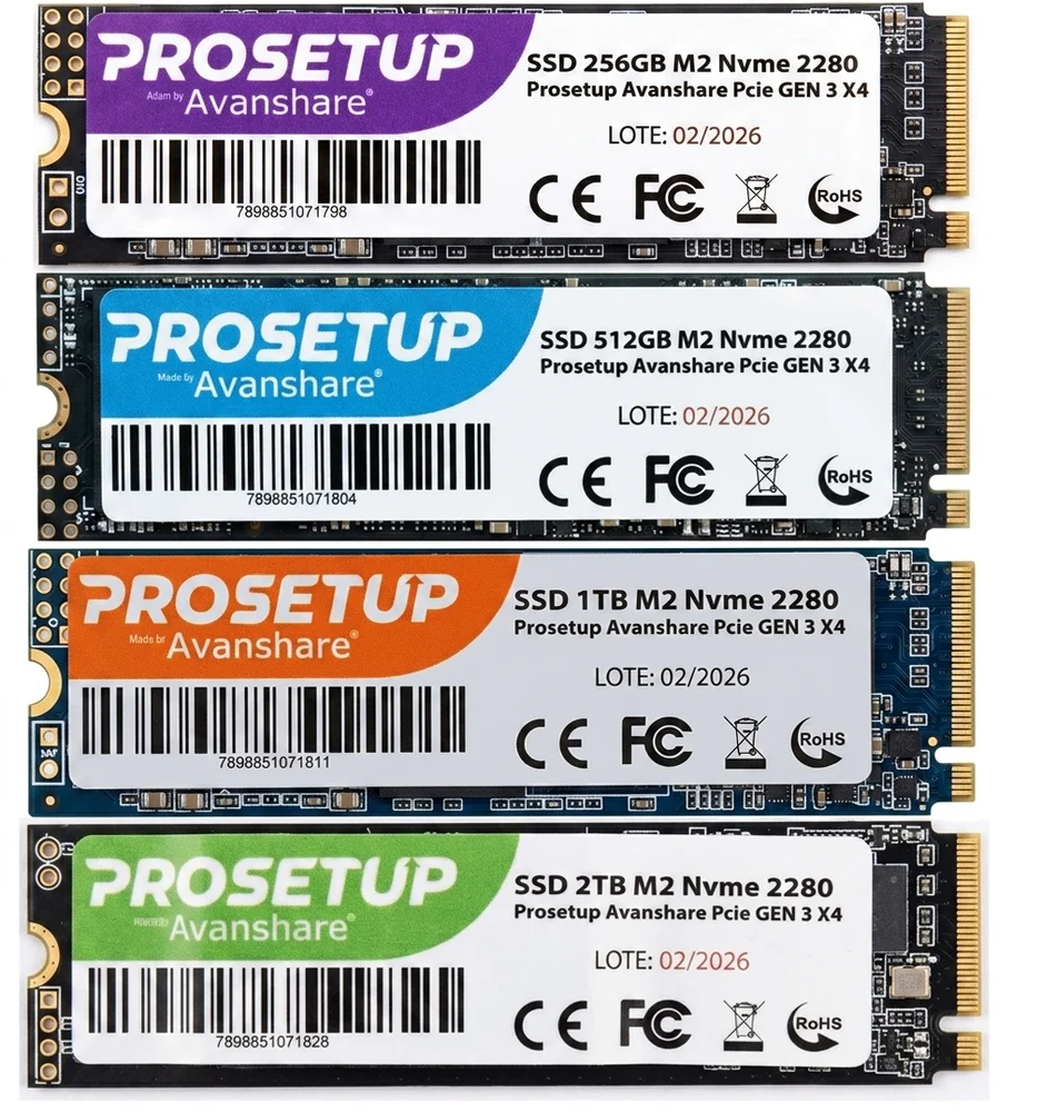 Imagem 5 de 5 do produto SSD 2TB M2 Nvme 2280 Prosetup Avanshare PCie Gen 3 X4 Leitura 1700mb/s Gravacao 1100mb/s