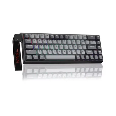 Teclado Magnético Aula Win68he - 8000hz Cor:gray