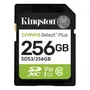 Cartão De Memória Micro Sd Kingston Canvas Select Plus 256gb 100mbs - Sdcs3/256gb