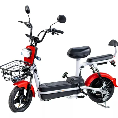 Bicicleta Elétrica Route, 500w, Adulto, Sem Cnh, Scooter Cor:vermelho-branco