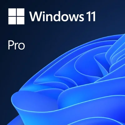 Windows 11 Professional Fpp - Cartão Físico