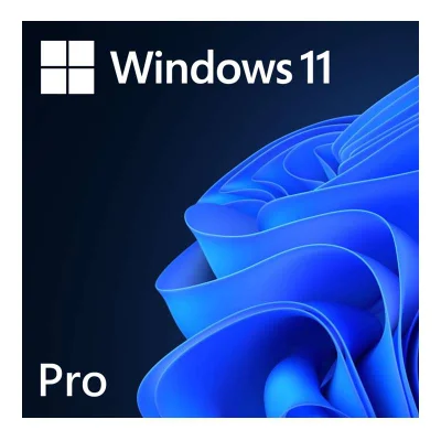 WINDOWS 11 Professional Fpp - Cartão Físico