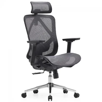 Cadeira De Escritório Dr. Office Ergo, Cinza, Mesh, Altura Ajustável, Dr-ch-egr2dbgf