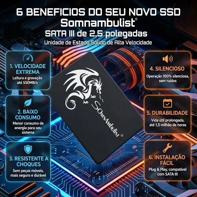 Imagem 5 de 5 do produto SSD 256gb Sata Iii Somnambulist   Alta Velocidade